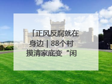 正风反腐就在身边｜88个村摸清家底变“闲”为“宝”