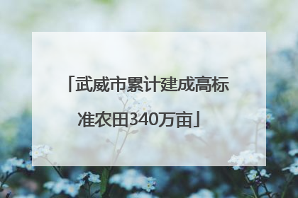 武威市累计建成高标准农田340万亩