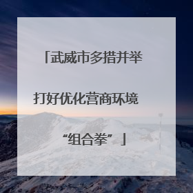 武威市多措并举打好优化营商环境“组合拳”