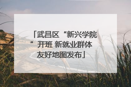 武昌区“新兴学院”开班 新就业群体友好地图发布