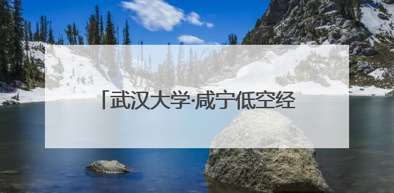 武汉大学·咸宁低空经济创新研究院签约成立