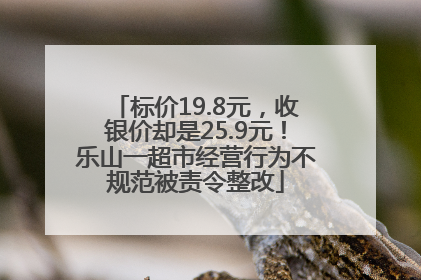 标价19.8元，收银价却是25.9元！乐山一超市经营行为不规范被责令整改
