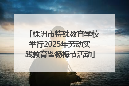 株洲市特殊教育学校举行2025年劳动实践教育暨杨梅节活动