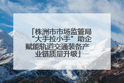 株洲市市场监管局“大手拉小手”助企赋能轨道交通装备产业链质量升级