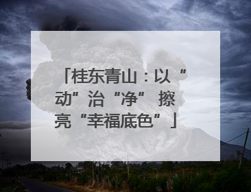 桂东青山：以“动”治“净” 擦亮“幸福底色”