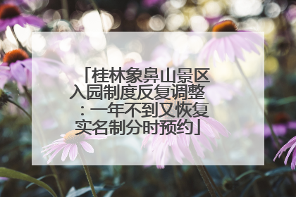 桂林象鼻山景区入园制度反复调整：一年不到又恢复实名制分时预约
