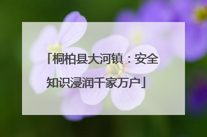 桐柏县大河镇：安全知识浸润千家万户