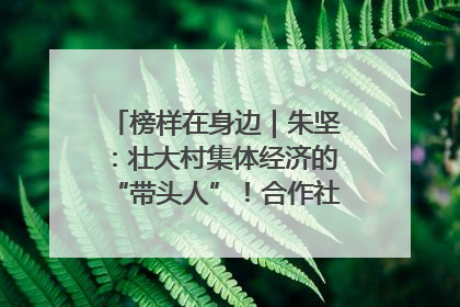 榜样在身边｜朱坚：壮大村集体经济的“带头人”！合作社经营收入三年内突破1200万元