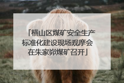 横山区煤矿安全生产标准化建设现场观摩会在朱家峁煤矿召开