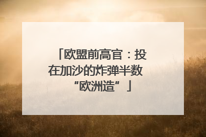 欧盟前高官：投在加沙的炸弹半数“欧洲造”