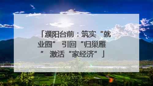 濮阳台前：筑实“就业圈” 引回“归巢雁” 激活“家经济”