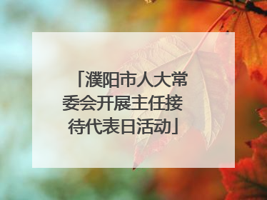 濮阳市人大常委会开展主任接待代表日活动