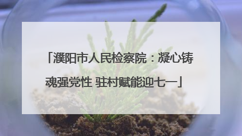 濮阳市人民检察院：凝心铸魂强党性 驻村赋能迎七一