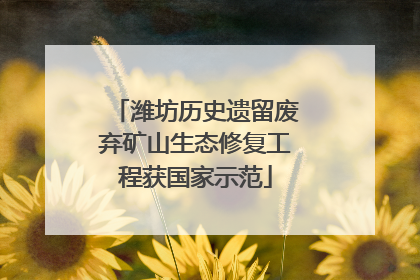 潍坊历史遗留废弃矿山生态修复工程获国家示范