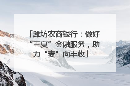 潍坊农商银行：做好“三夏”金融服务，助力“麦”向丰收