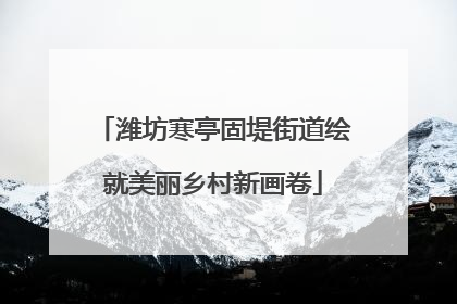潍坊寒亭固堤街道绘就美丽乡村新画卷