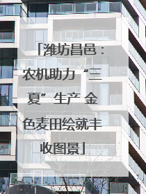 潍坊昌邑：农机助力“三夏”生产 金色麦田绘就丰收图景