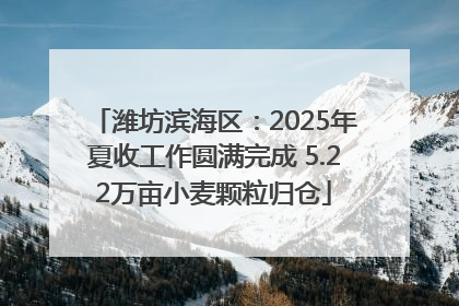 潍坊滨海区：2025年夏收工作圆满完成 5.22万亩小麦颗粒归仓