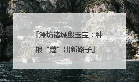 潍坊诸城殷玉宝：种粮“蹚”出新路子