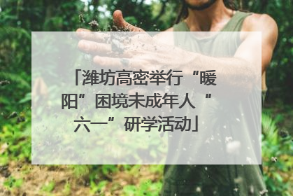 潍坊高密举行“暖阳”困境未成年人“六一”研学活动