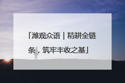 潍观众语｜精耕全链条，筑牢丰收之基