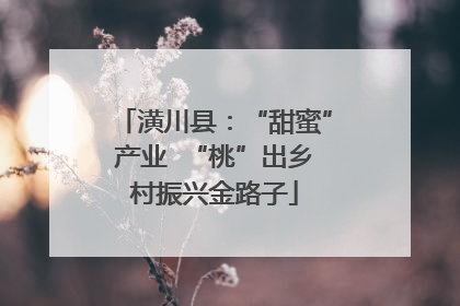 潢川县：“甜蜜”产业  “桃”出乡村振兴金路子