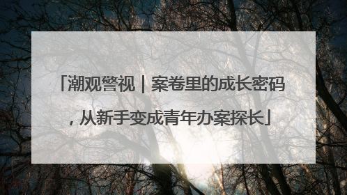 潮观警视｜案卷里的成长密码，从新手变成青年办案探长