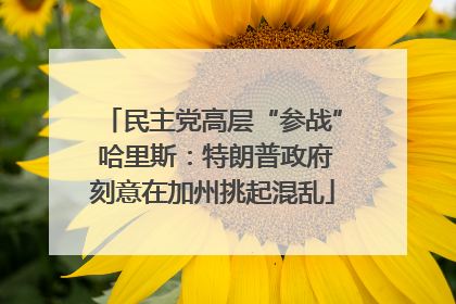 民主党高层“参战” 哈里斯：特朗普政府刻意在加州挑起混乱