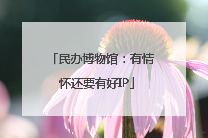 民办博物馆：有情怀还要有好IP
