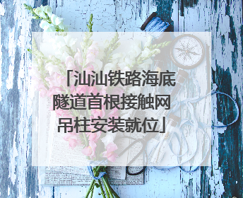 汕汕铁路海底隧道首根接触网吊柱安装就位