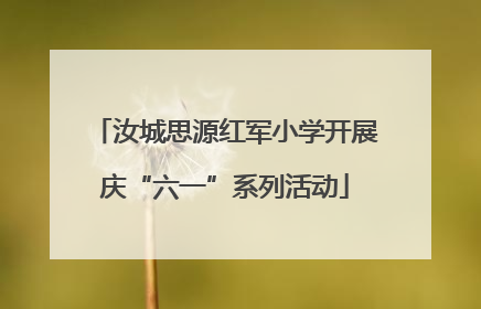汝城思源红军小学开展庆“六一”系列活动
