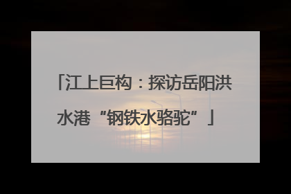 江上巨构：探访岳阳洪水港“钢铁水骆驼”