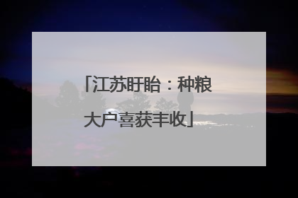 江苏盱眙：种粮大户喜获丰收