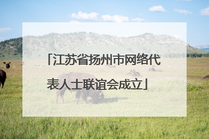 江苏省扬州市网络代表人士联谊会成立
