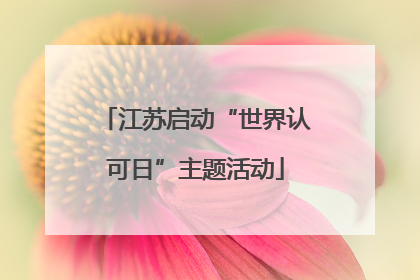 江苏启动“世界认可日”主题活动