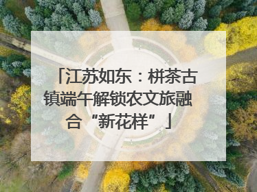 江苏如东：栟茶古镇端午解锁农文旅融合“新花样”