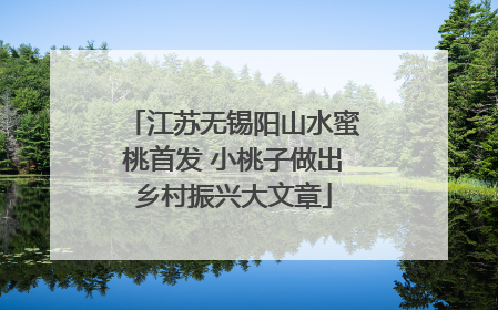 江苏无锡阳山水蜜桃首发 小桃子做出乡村振兴大文章