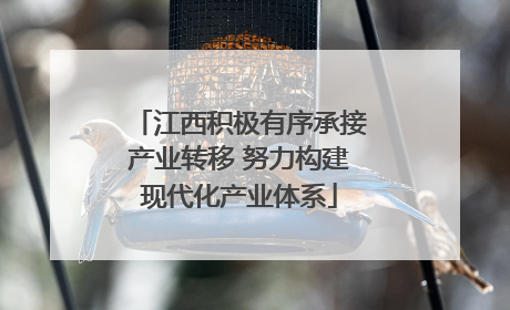 江西积极有序承接产业转移 努力构建现代化产业体系