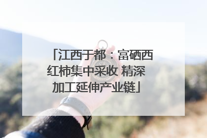 江西于都：富硒西红柿集中采收 精深加工延伸产业链