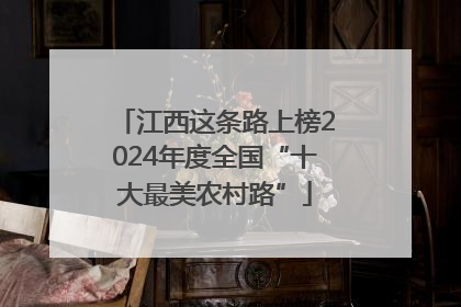 江西这条路上榜2024年度全国“十大最美农村路”