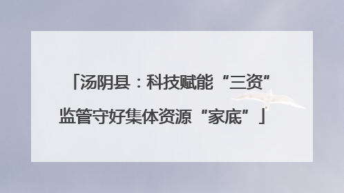 汤阴县：科技赋能“三资”监管守好集体资源“家底”