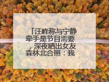 汪峰称与宁静牵手是节目需要，深夜晒出女友森林北合照：我俩好着呢！