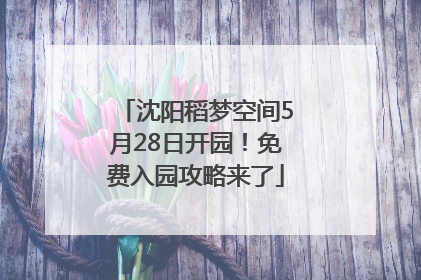 沈阳稻梦空间5月28日开园！免费入园攻略来了