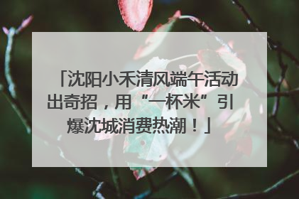 沈阳小禾清风端午活动出奇招，用“一杯米”引爆沈城消费热潮！
