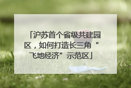 沪苏首个省级共建园区，如何打造长三角“飞地经济”示范区