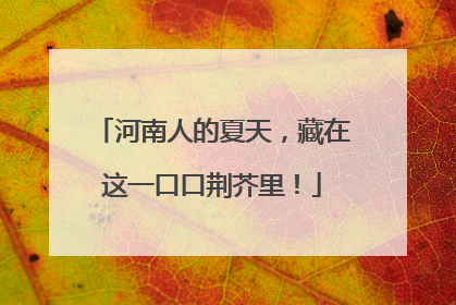 河南人的夏天，藏在这一口口荆芥里！