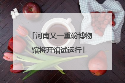 河南又一重磅博物馆将开馆试运行