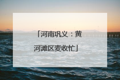 河南巩义：黄河滩区麦收忙