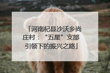 河南杞县沙沃乡尚庄村：“五星”支部引领下的振兴之路