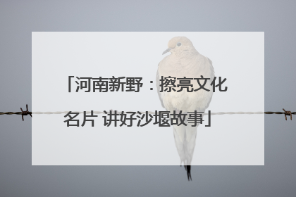 河南新野：擦亮文化名片 讲好沙堰故事